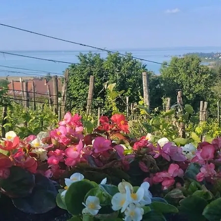 Ferienhaus 100 Eves Preshaz *