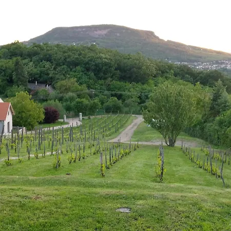 Ferienhaus 100 Eves Preshaz *