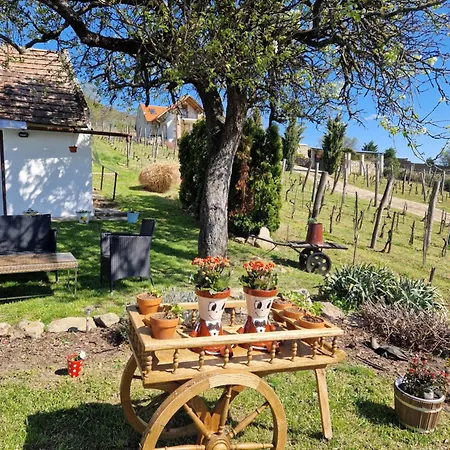 100 Eves Preshaz * Badacsonyors