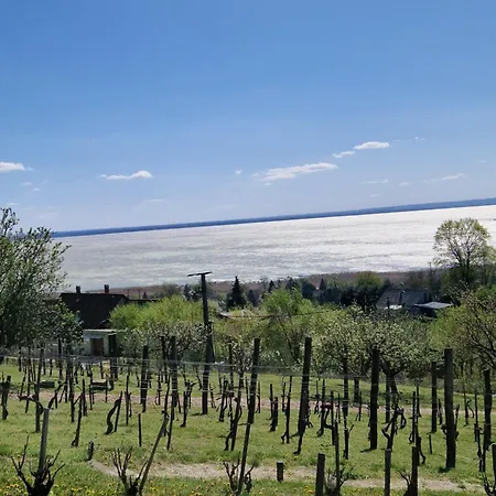 100 Eves Preshaz Tatil Evi Badacsonyörs