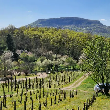 100 Eves Preshaz * Badacsonyörs