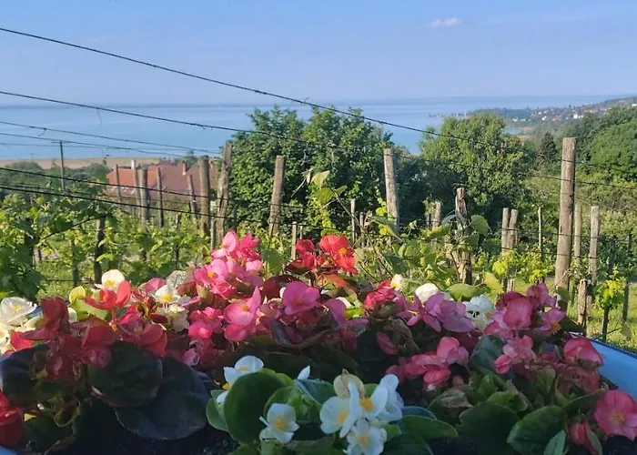 Holiday home 100 Eves Preshaz *