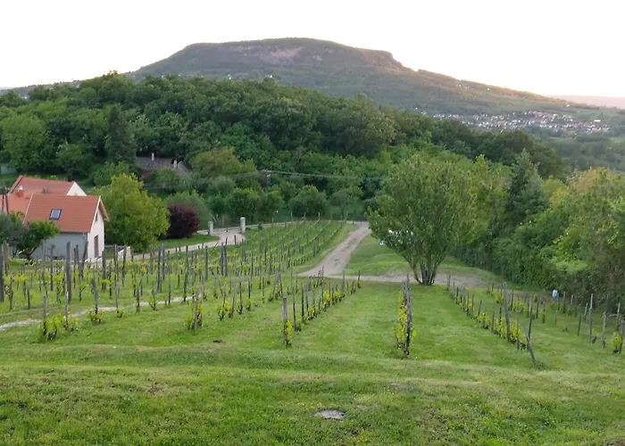 Hébergement de vacances 100 éves Présház *