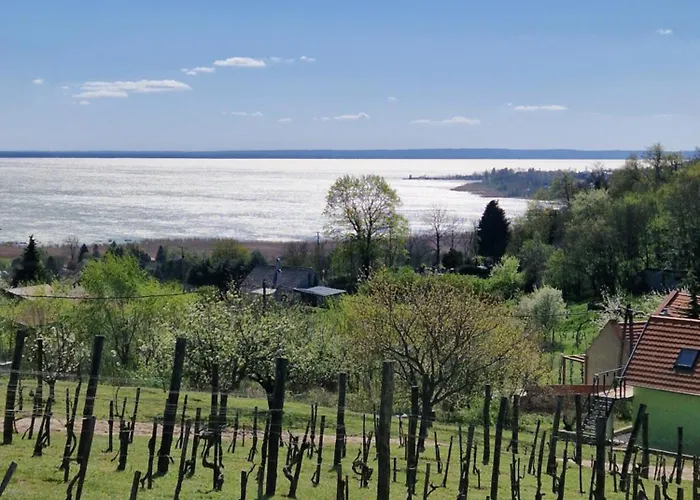 Holiday home 100 Eves Preshaz Badacsonyors