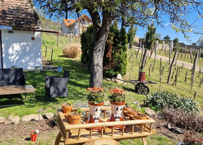 100 Eves Preshaz * Badacsonyors