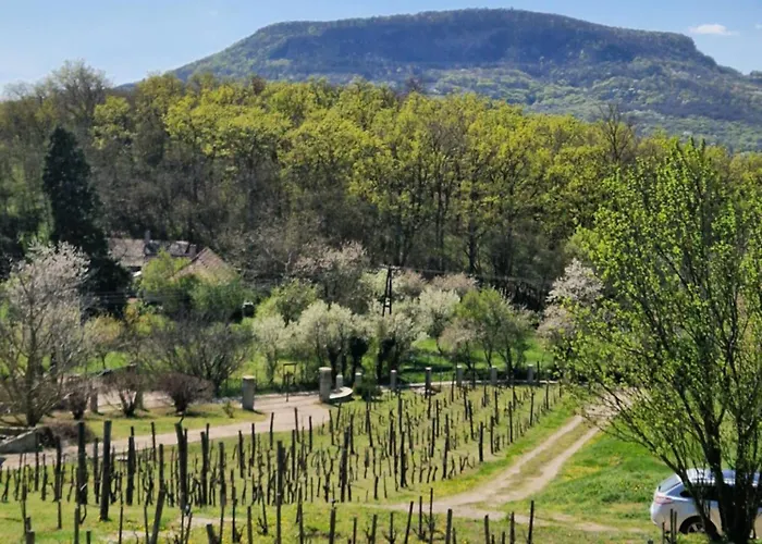 100 Eves Preshaz * Badacsonyors